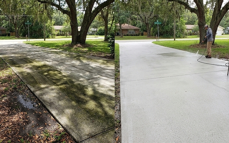 Why Does Algae Keep Coming Back on Florida Driveways?