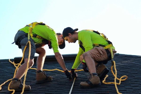 About the Company & the Founder