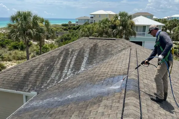 Roof Cleaning